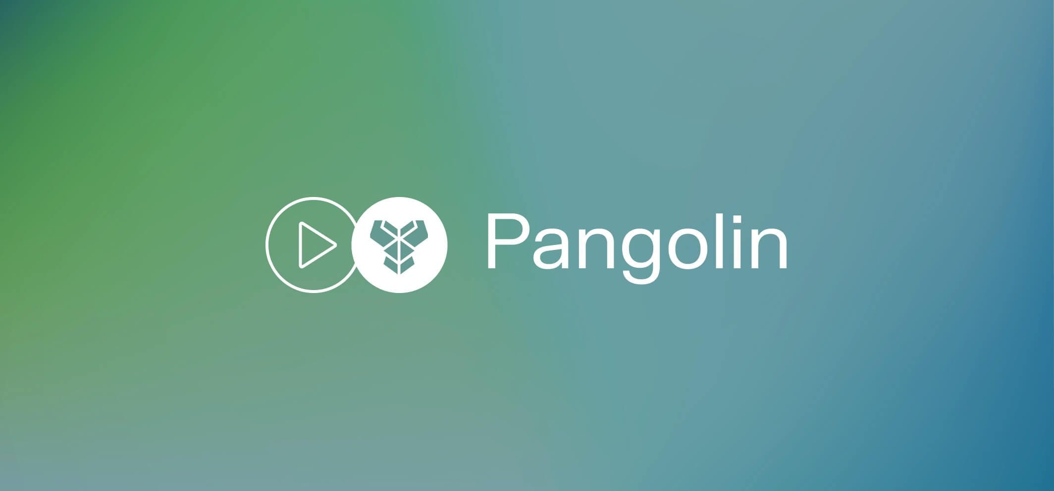 Pangolin – A multi-chain decentralized exchange